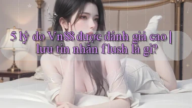 5 lý do Vn88 được đánh giá cao lưu tin nhắn flush là gì