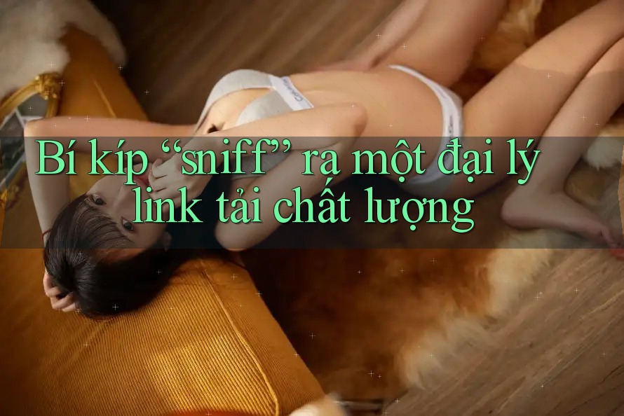 Bí kíp “sniff” ra một đại lý link tải chất lượng Bí kíp “sniff” ra một đại lý link tải chất lượng