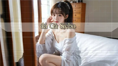 đá gà Sicbo