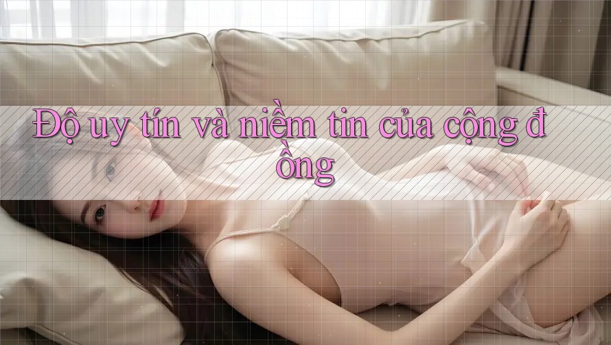 Độ uy tín và niềm tin của cộng đồng Độ uy tín và niềm tin của cộng đồng