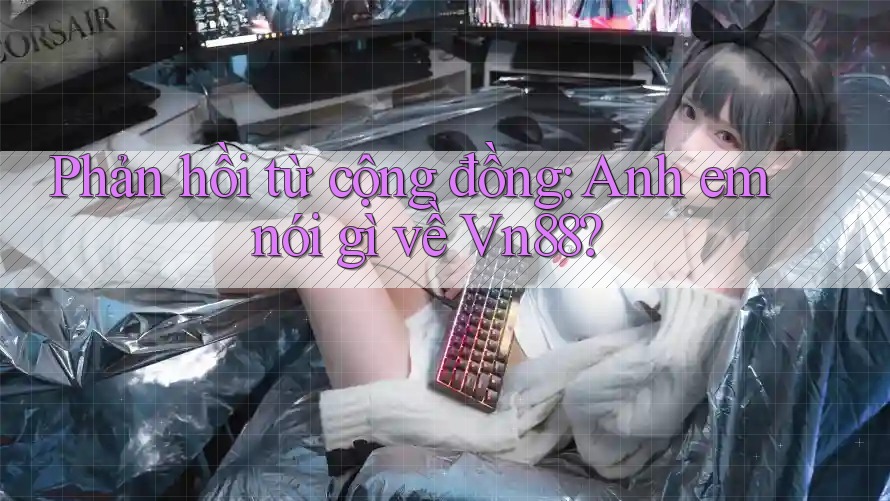 Phản hồi từ cộng đồng: Anh em nói gì về Vn88?