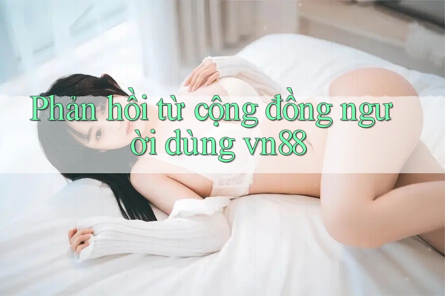 Phản hồi từ cộng đồng người dùng Vn88
