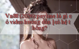 Vn88 (2026) payline là gì có video hướng dẫn có hệ thống
