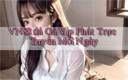 vn88  đá gà vip phát trực tuyến mỗi ngày