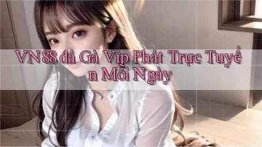 vn88  đá gà vip phát trực tuyến mỗi ngày