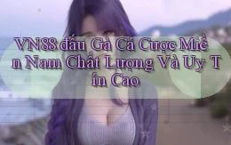 vn88  đấu gà cá cược miền nam chất lượng và uy tín cao