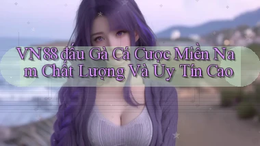 vn88  đấu gà cá cược miền nam chất lượng và uy tín cao