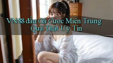 vn88  đấu gà cược miền trung quả thật uy tín