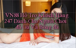 vn88  hỗ trợ khách hàng 24／7 dành cho người chơi đá gà và bóng đá