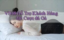 vn88  hỗ trợ khách hàng đặt cược đá gà